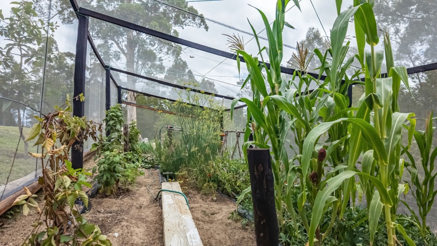 Commercial Property for Sale in Knysna Rural Western Cape